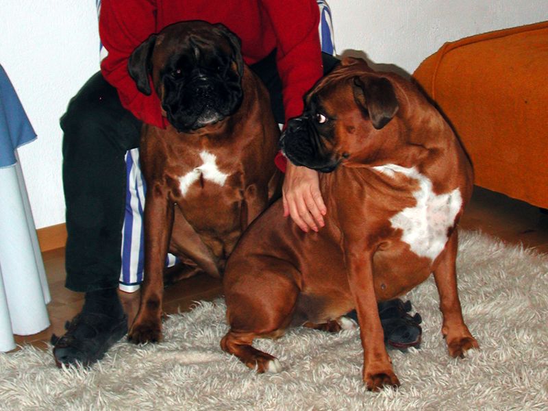 Jessie und Woody (26.12.2001)