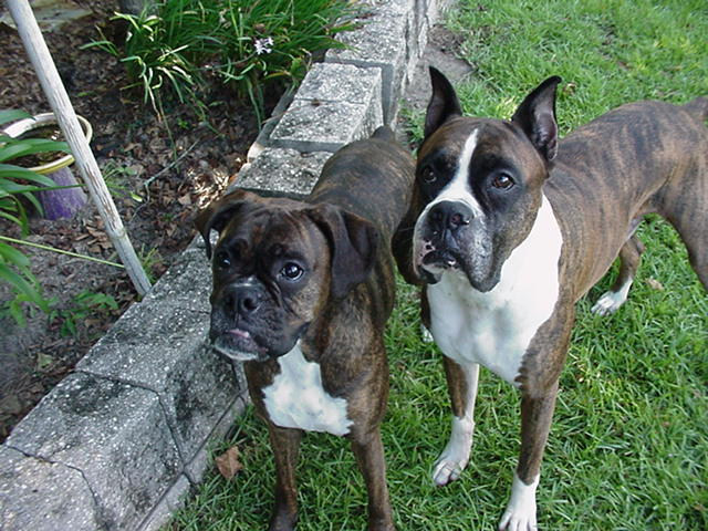 Shyann and Sequoia from Tallahassee, USA