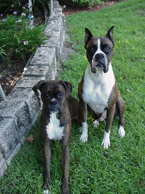 Shyann and Sequoia from Tallahassee, USA